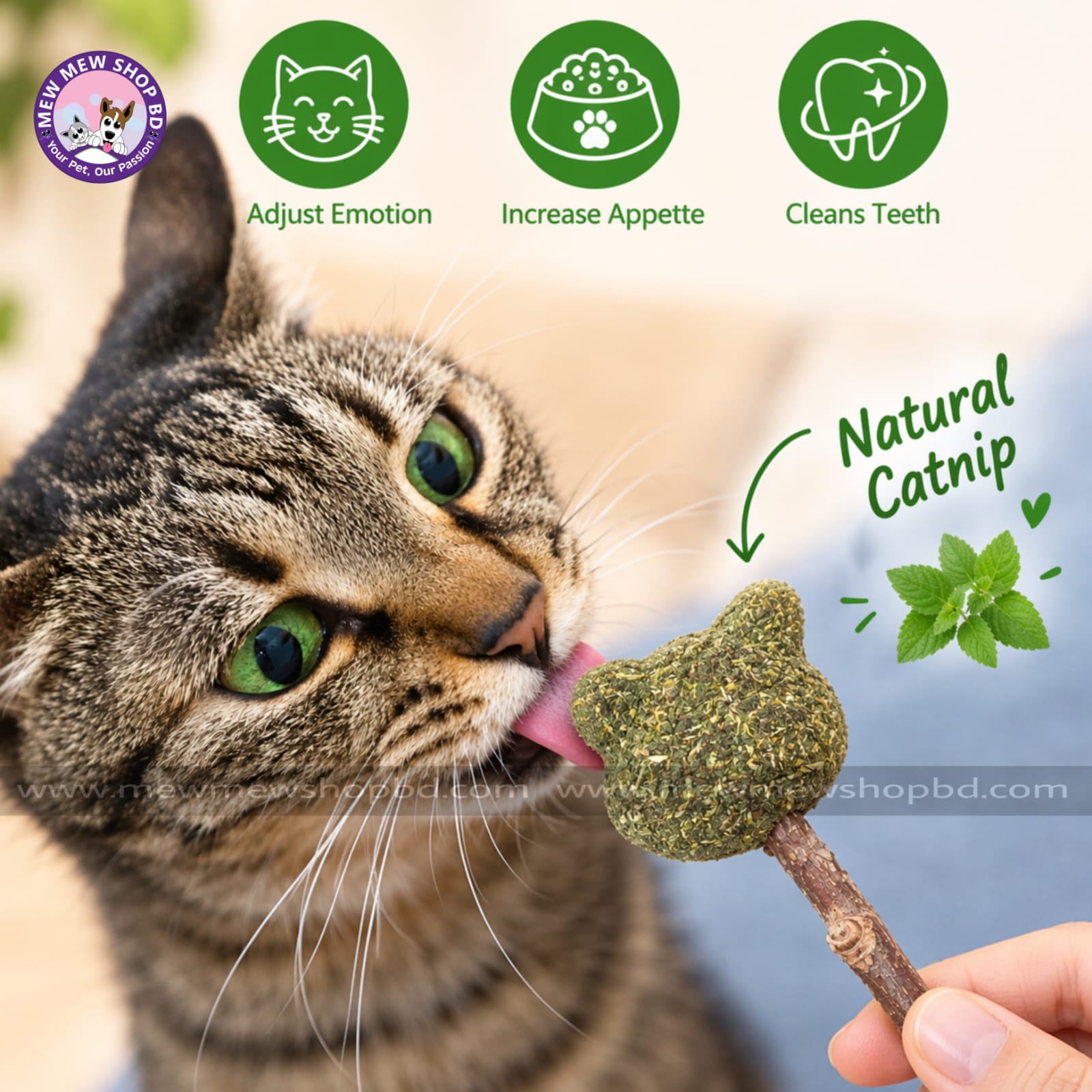 Cat Head Shape Catnip Candy Lollipop Cat Toys for Indoor Kittens  Interactive Cat Treats