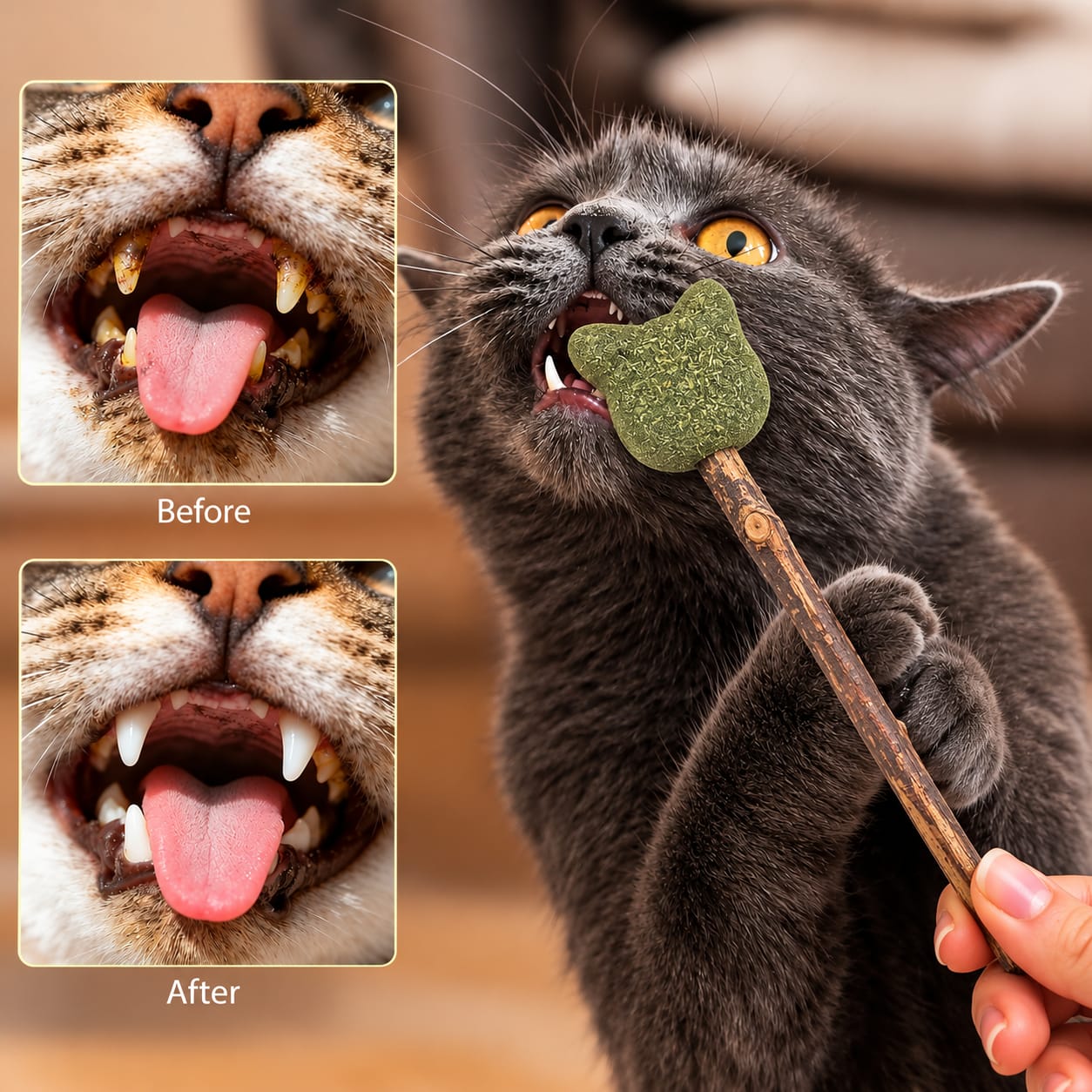 Cat Head Shape Catnip Candy Lollipop Cat Toys for Indoor Kittens  Interactive Cat Treats