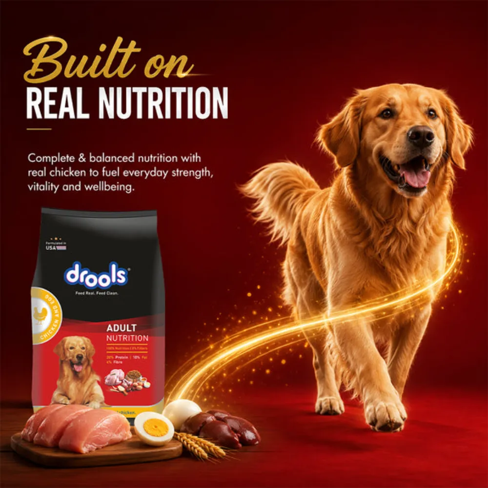 Drools Adult Dog Food Chicken & Egg 1.2kg