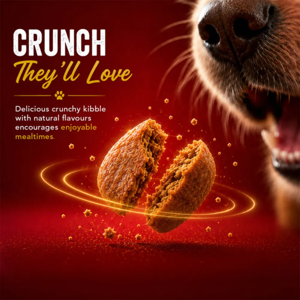 Drools Adult Dog Food Chicken & Egg 1.2kg