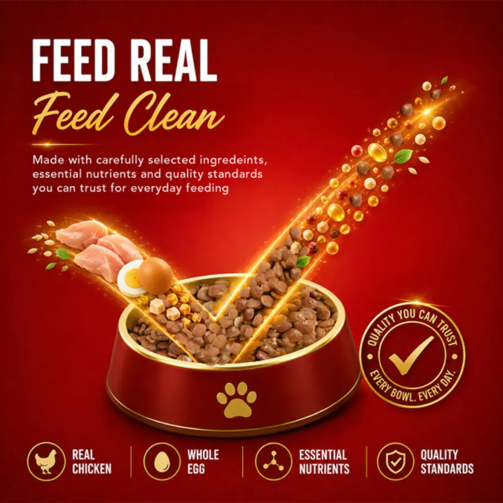 Drools Adult Dog Food Chicken & Egg 3kg