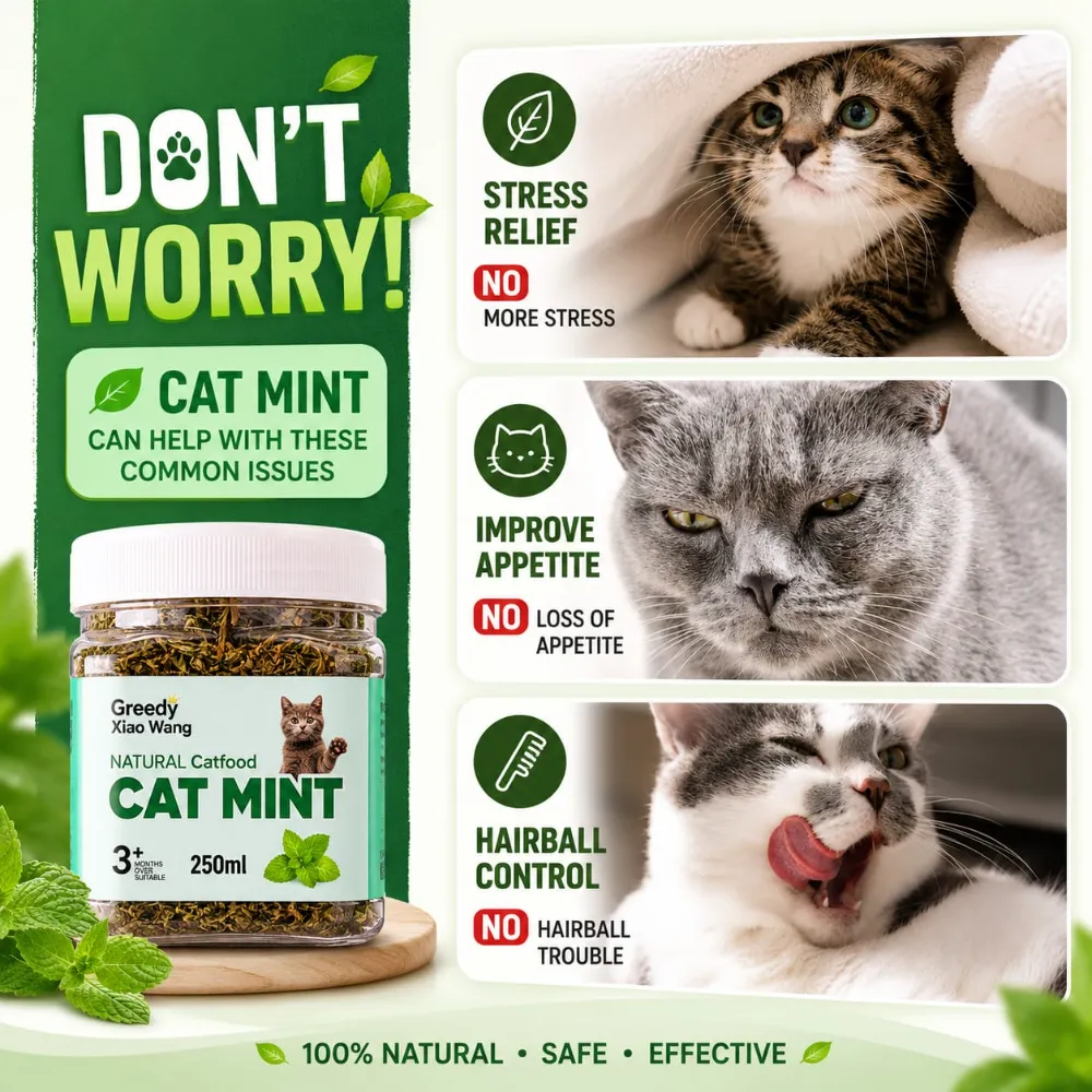 Greedy Xiao Wang Natural Catmint Catnip Catfood Topper for Pet Cat