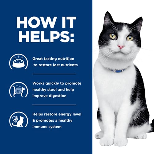 Hill's Prescription Diet Digestive Care i/d with Chicken Adult Dry Cat Food 1.81kg