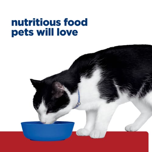 Hill's Prescription Diet Digestive Care i/d with Chicken Adult Dry Cat Food 1.81kg
