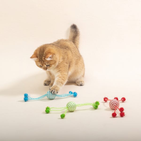 Multicoloured Winding Tassel Rope Ball Cat Toy for Cat (Random Color)