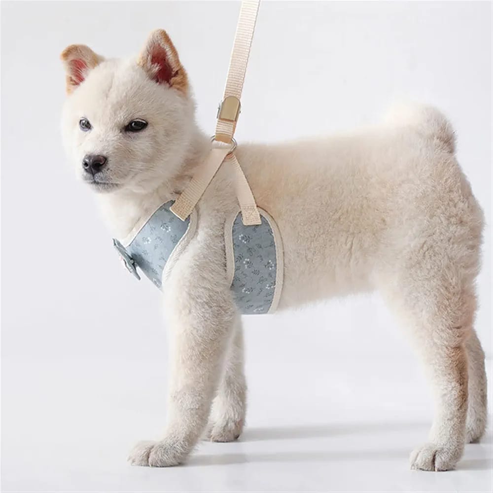Multiple Printed Super Premium Bow Tie Designed Harness for Pet Cat & Puppy