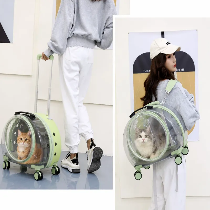 Paw Cat travel Backpack Trolley Cage Transparent Portable Large Capacity Bag for Pet Cat & Puppy (Inside Dhaka only)