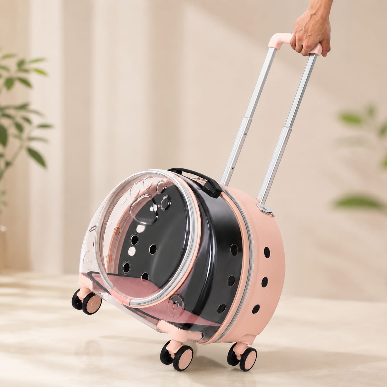Paw Cat travel Backpack Trolley Cage Transparent Portable Large Capacity Bag for Pet Cat & Puppy (Inside Dhaka only)