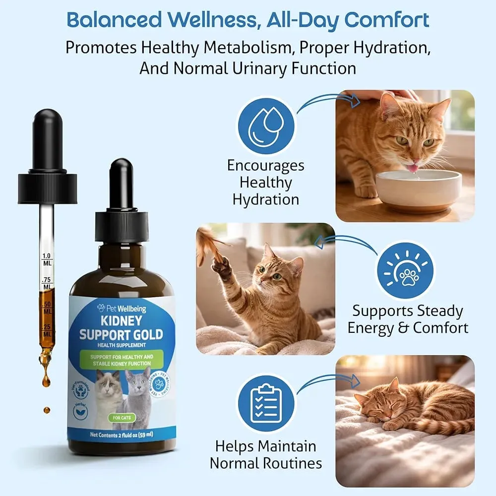 Pet Wellbeing Kidney Support Gold for Cats 59ml