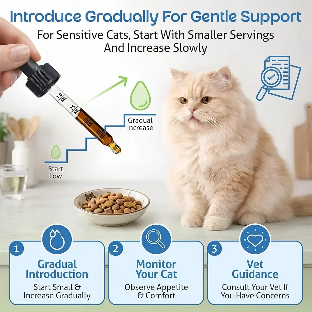 Pet Wellbeing Kidney Support Gold for Cats 59ml