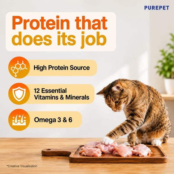 Purepet Real Chicken Adult Dry Cat Food 1kg