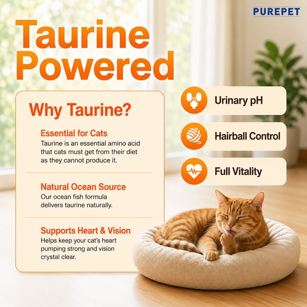 Purepet Real Chicken Adult Dry Cat Food 1kg