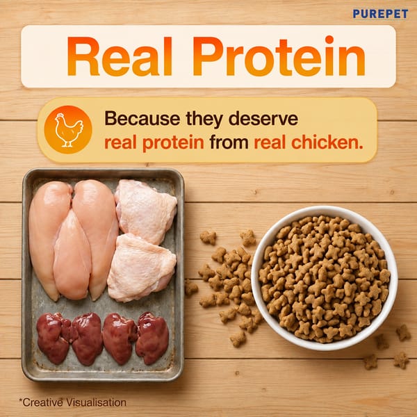 Purepet Real Chicken Adult Dry Cat Food 1kg