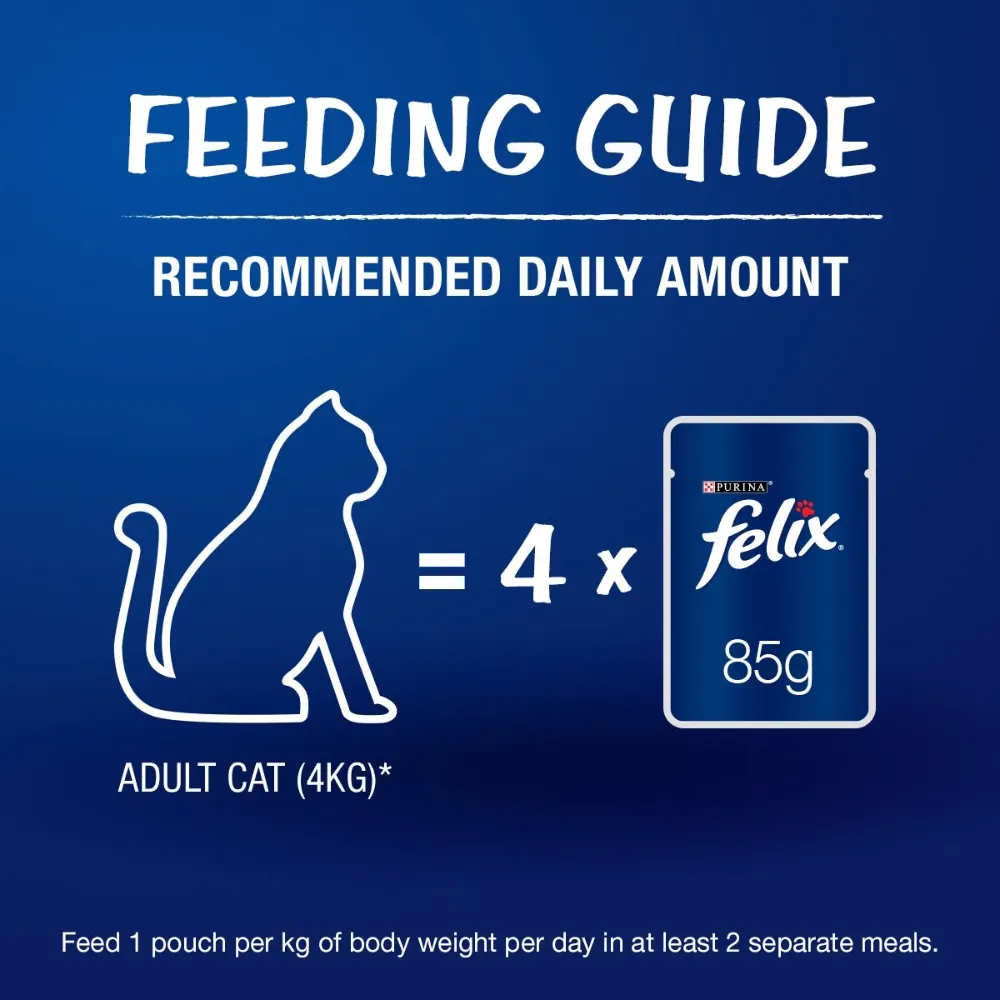 Purina Felix Adult Cat Pouch Chicken in Jelly 85g