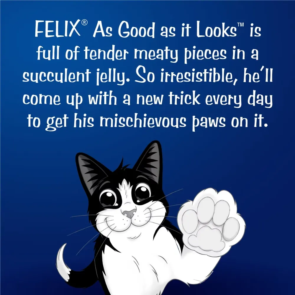 Purina Felix Adult Cat Pouch Chicken in Jelly 85g