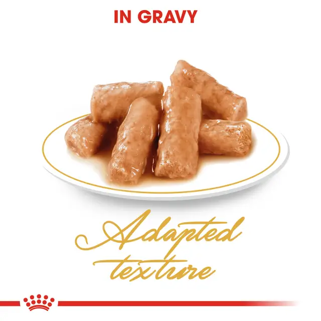 Royal Canin British Shorthair Gravy Pouch Food for Adult Cat 85g