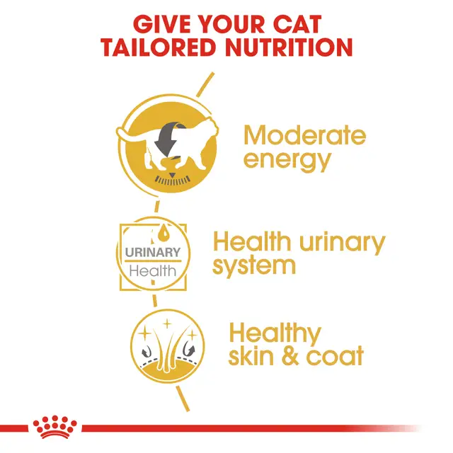 Royal Canin British Shorthair Gravy Pouch Food for Adult Cat 85g