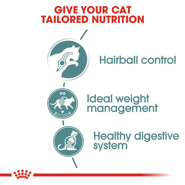 Royal Canin Hairball Care Gravy Pouch Food for Adult Cat 85g