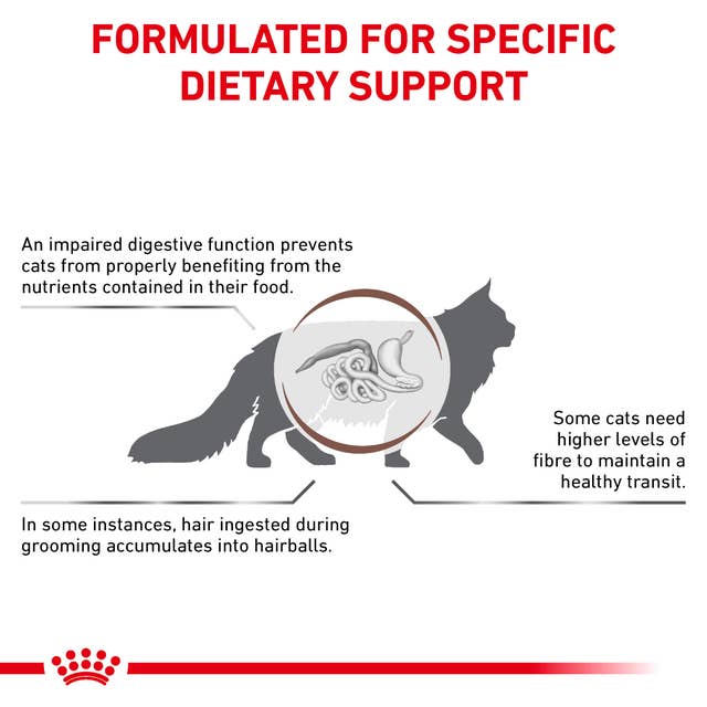 Royal Canin Veterinary Health Nutrition Gastrointestinal S/O Hairball Dry Cat Food 400g
