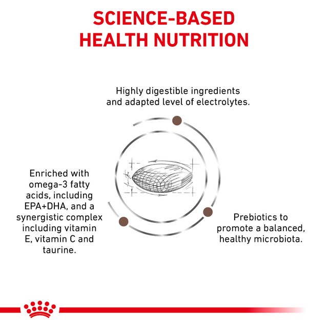 Royal Canin Veterinary Health Nutrition Gastrointestinal S/O Hairball Dry Cat Food 400g