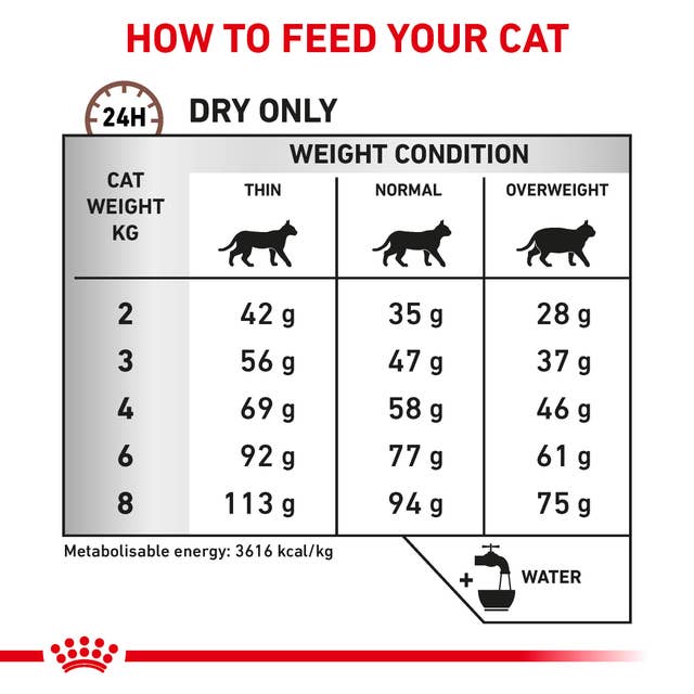 Royal Canin Veterinary Health Nutrition Gastrointestinal S/O Hairball Dry Cat Food 400g