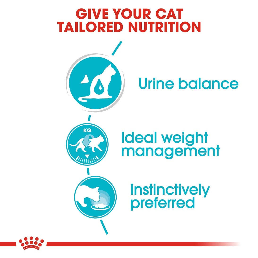 Royal Canin Wet Cat Food Pouch Urinary Care Gravy 85g