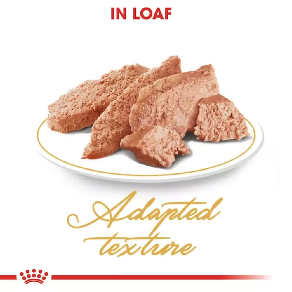 Royal Canin Persian Adult Loaf Pouch Food for Adult Cat 85g