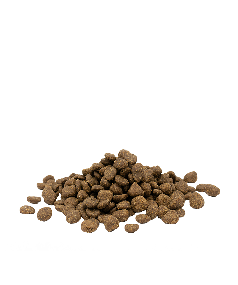 Versele-Laga Opti Life Grain Free Super Premium Dry Cat Food Adult Sensitive Salmon 2.5KG