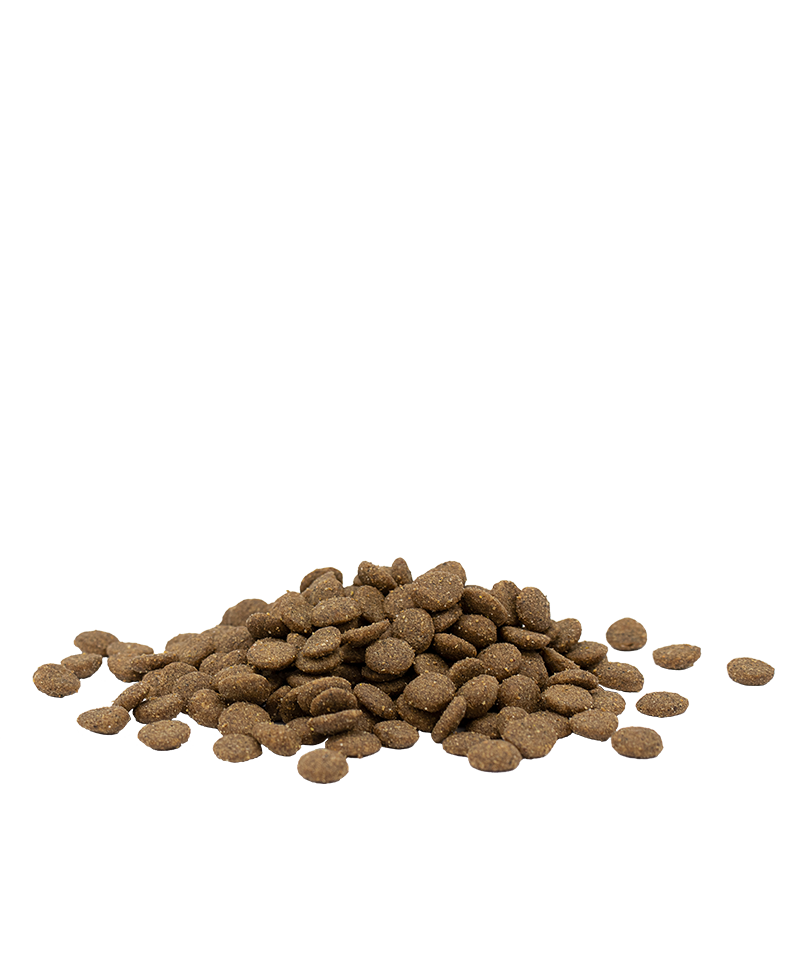 Versele-Laga Opti Life Grain Free Super Premium Dry Cat Food Adult Urinary Chicken 1KG