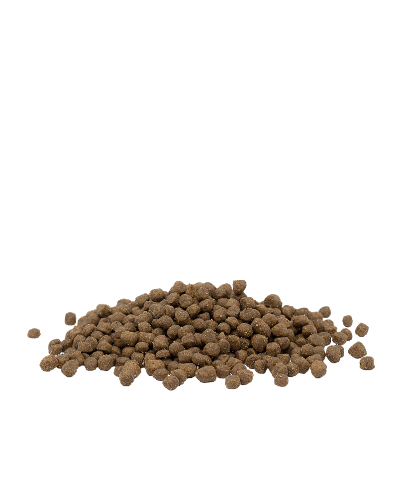 Versele-Laga Opti Life Grain Free Super Premium Dry Cat Food Kitten Chicken 2.5KG