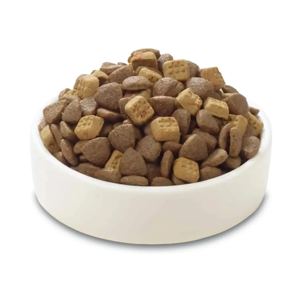 Wanpy Grain Free Super Premium Adult Cat Food Salmon with Oven Baked Bites 500g