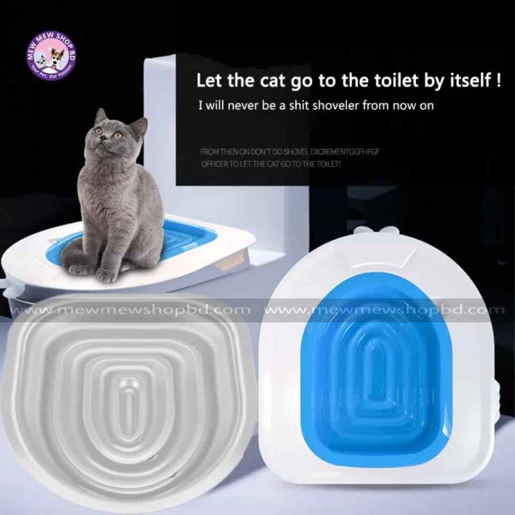 A closer look at Kitten Potty Training Without Distractions